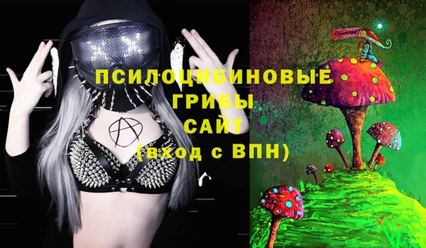первитин Дмитров