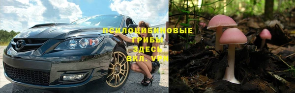 a pvp Дмитриев