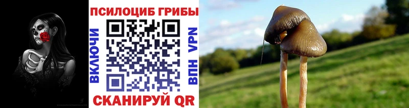 Псилоцибиновые грибы мицелий  Купить закладки  Ижевск 